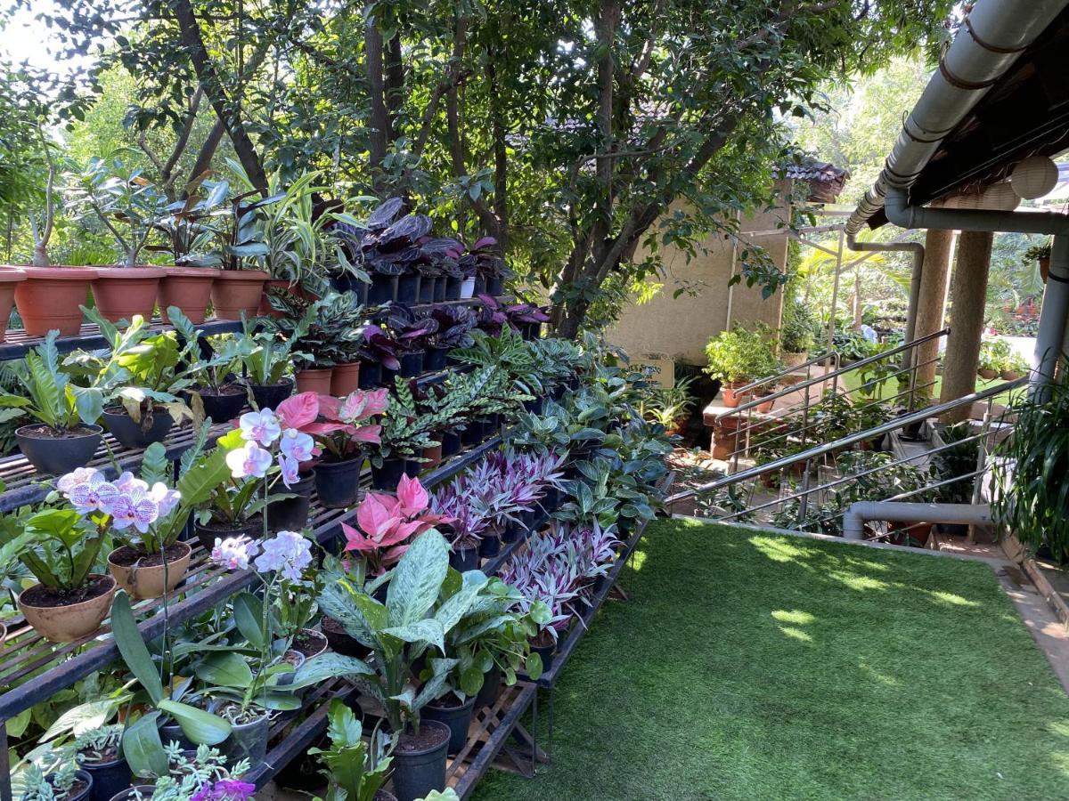 Peace Lily Cottage Karjat Exterior photo
